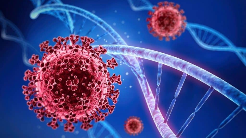 Brasil injeta R$450 milhões para acelerar vacinas nacionais com centro de RNA Brasil injeta R$450 milhões para acelerar vacinas nacionais com centro de RNA - Imagem do artigo original