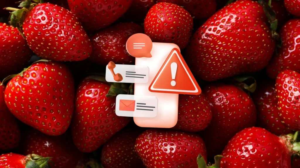 Golpistas exploram febre do “morango do amor” com sites falsos e promoções tentadoras Golpistas exploram febre do “morango do amor” com sites falsos e promoções tentadoras