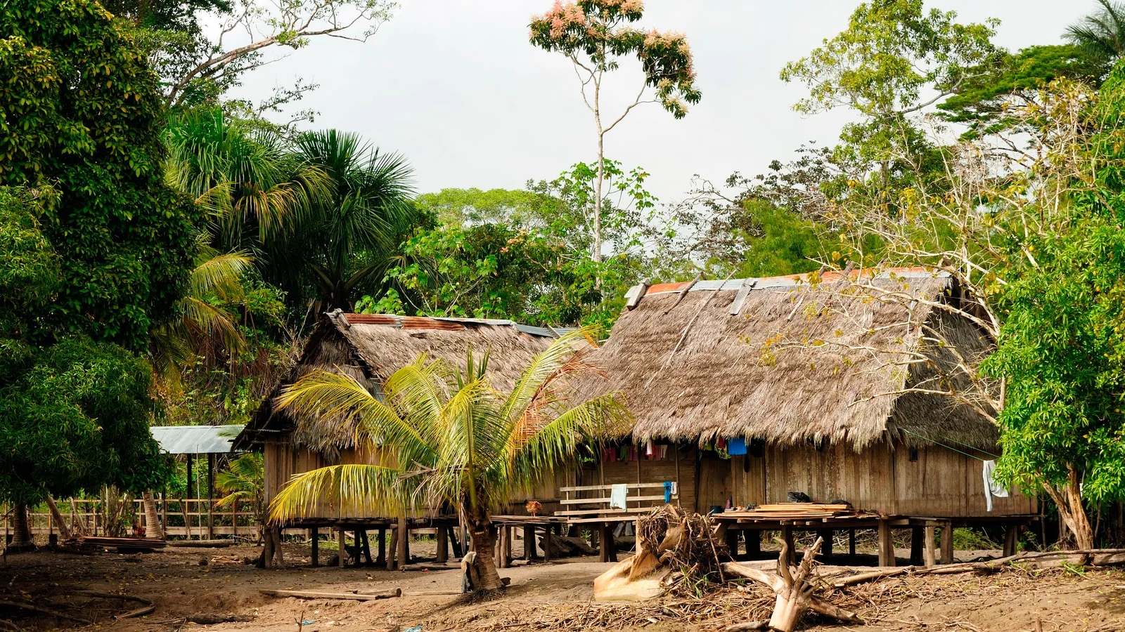 Investigação revela dispositivos solares usados para evangelizar povo Korubo - Imagem do artigo