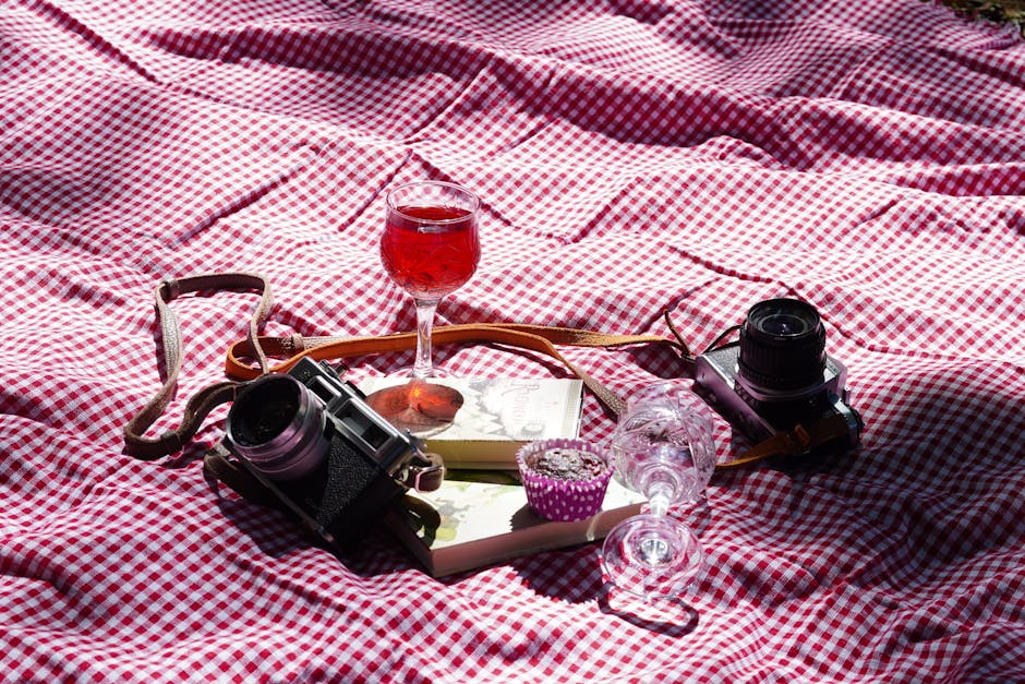 Cinco câmeras de segurança com Wi-Fi para proteger casa ou comércio em 2025 Cinco câmeras de segurança com Wi-Fi para proteger casa ou comércio em 2025