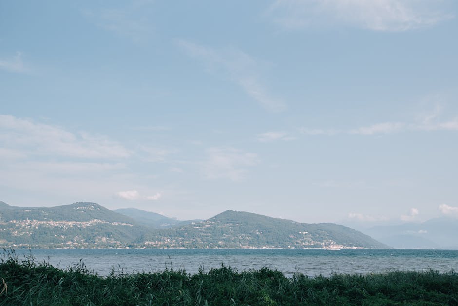 Passo a passo para criar, usar e gerenciar o avatar do Instagram Passo a passo para criar, usar e gerenciar o avatar do Instagram