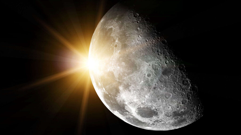 Queda da sonda israelita poderá ter levado tardígrados vivos para a Lua Queda da sonda israelita poderá ter levado tardígrados vivos para a Lua