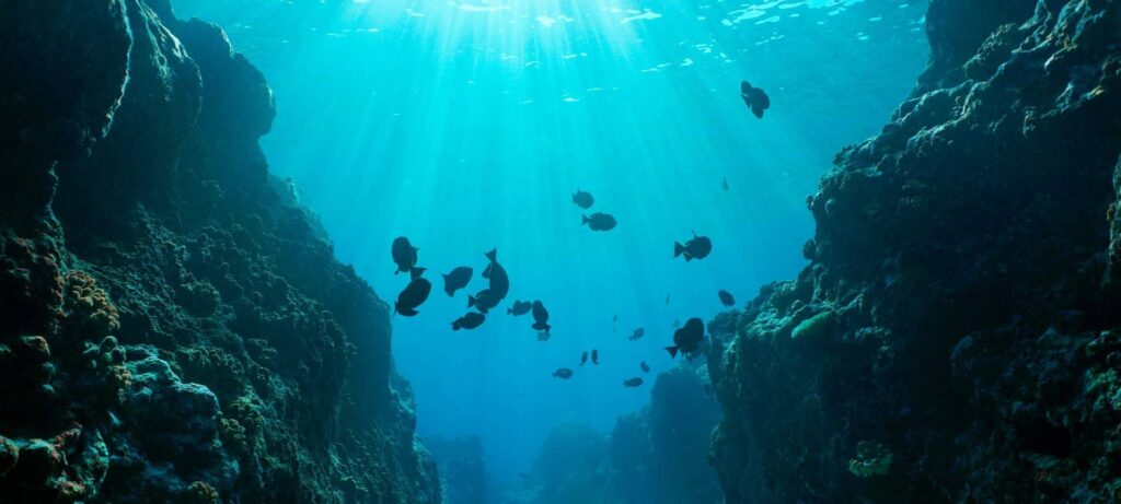 Oceano Pacífico: por que é o maior do planeta Oceano Pacífico: por que é o maior do planeta