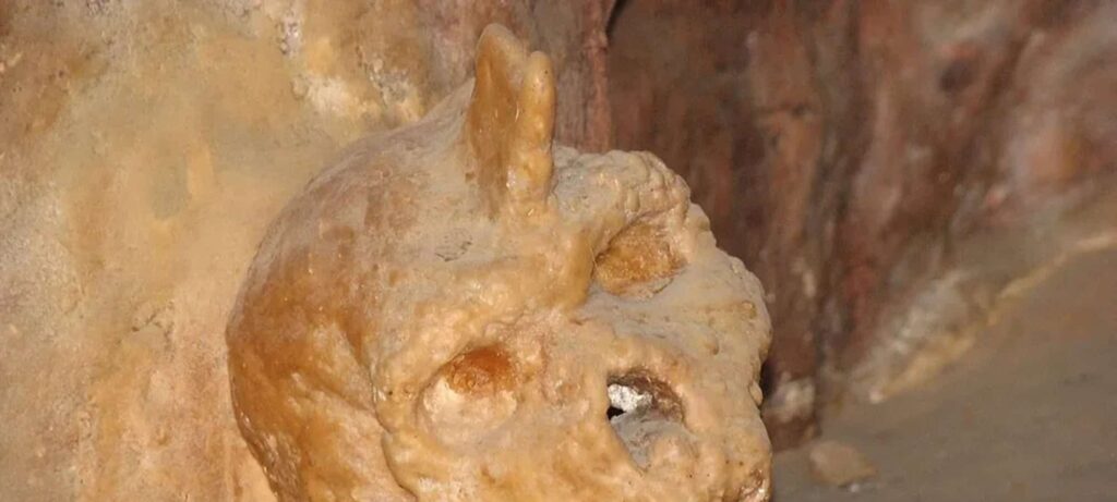 Crânio de 300 mil anos intriga e não pertence a humanos Crânio de 300 mil anos intriga e não pertence a humanos