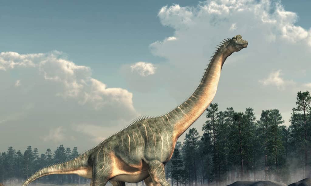 Dinossauros mexiam a cauda como cachorros, revela estudo Dinossauros mexiam a cauda como cachorros, revela estudo