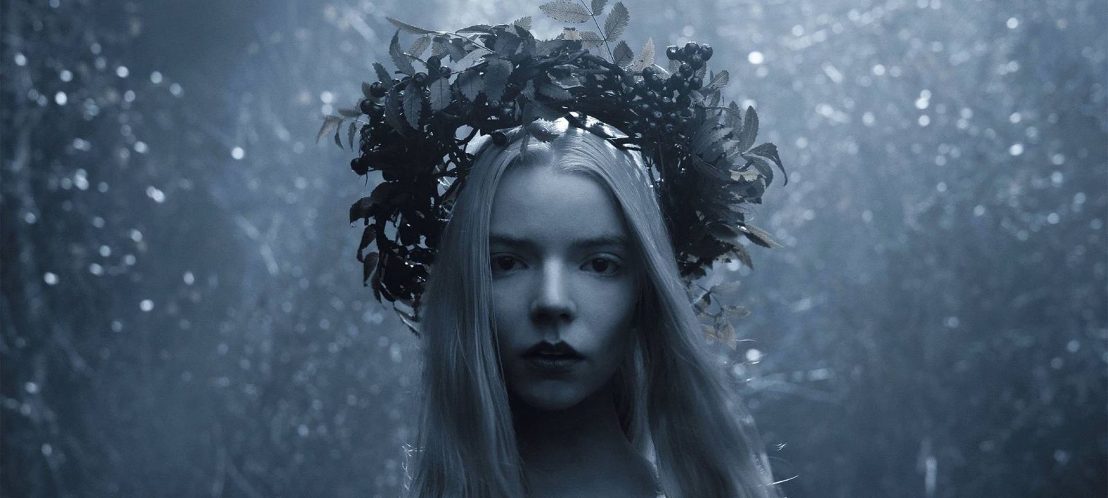 Estreias da Netflix: 7 lançamentos imperdíveis na semana Estreias da Netflix: 7 lançamentos imperdíveis na semana - Imagem do artigo