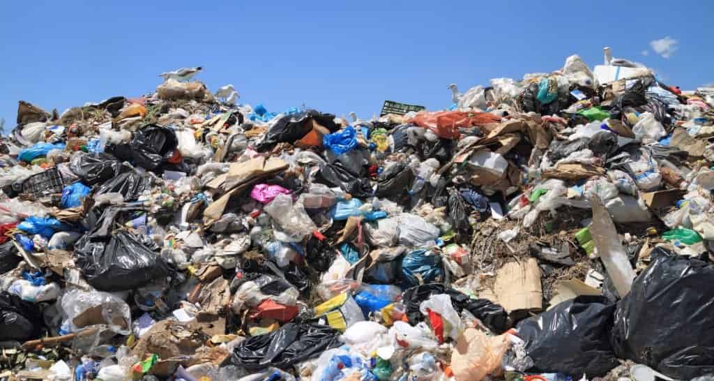 Inteligência artificial na reciclagem agiliza descarte Inteligência artificial na reciclagem agiliza descarte