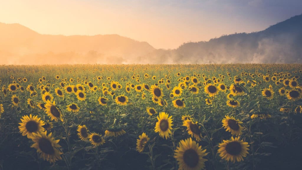 Estudo revela como sismos geram energia que sustenta vida subterrânea Estudo revela como sismos geram energia que sustenta vida subterrânea - Imagem do artigo original