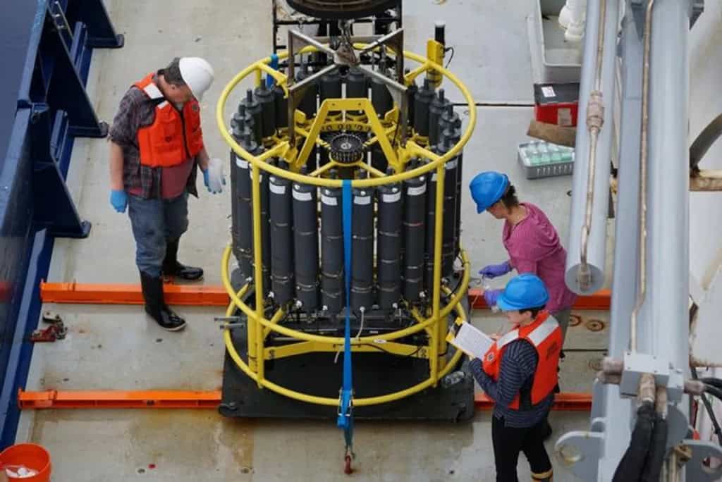 Estudo resolve mistério dos brilhos no Oceano Antártico e aponta diatomáceas como causa Estudo resolve mistério dos brilhos no Oceano Antártico e aponta diatomáceas como causa - Imagem do artigo original
