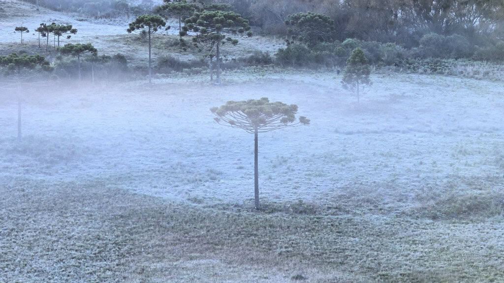 Massa de ar polar derruba temperaturas e leva geada a vários estados Massa de ar polar derruba temperaturas e leva geada a vários estados - Imagem do artigo original