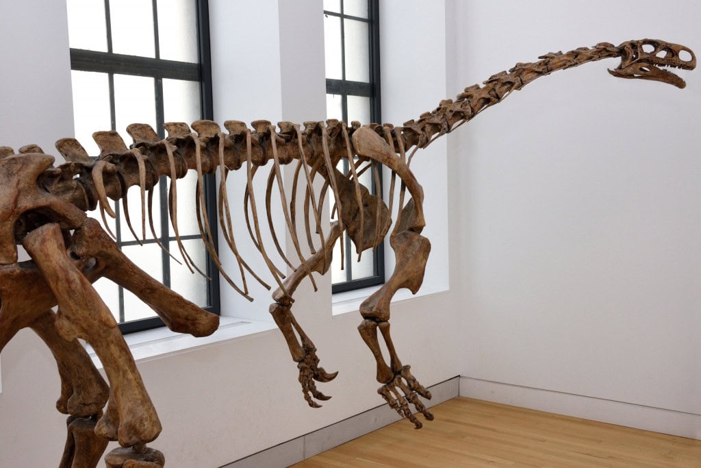Fóssil de dinossauro surge a 2,6 km de profundidade e quebra recorde no Mar do Norte Fóssil de dinossauro surge a 2,6 km de profundidade e quebra recorde no Mar do Norte - Imagem do artigo original