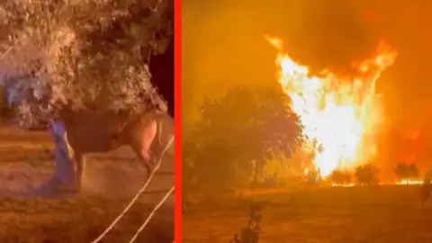 Drone atinge carro em Belgorod e fere três pessoas Drone atinge carro em Belgorod e fere três pessoas - Imagem do artigo original