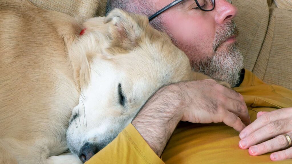 Dormir com cães ou gatos afeta o sono? Estudos traçam diferenças claras Dormir com cães ou gatos afeta o sono? Estudos traçam diferenças claras