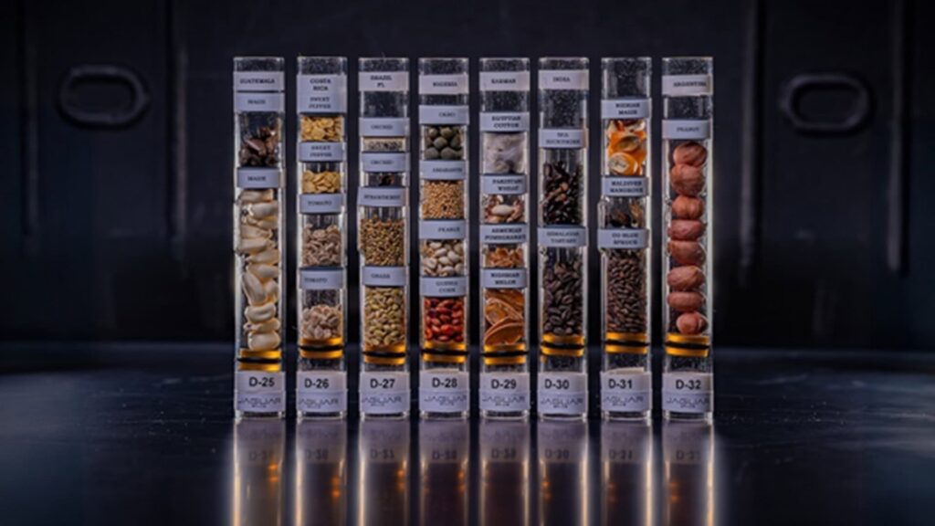 Brasil envia sementes de morango ao espaço para testar cultivo em microgravidade