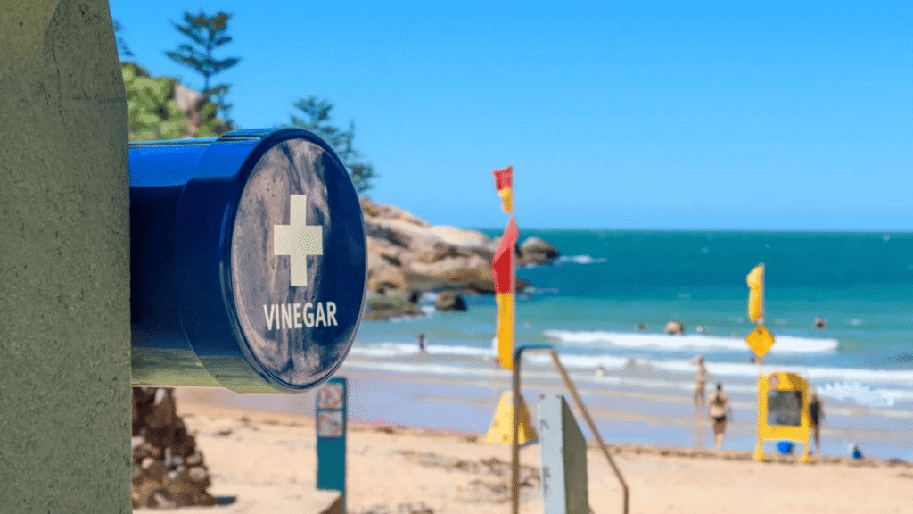 Austrália instala postos de vinagre nas praias para travar queimaduras de águas-vivas