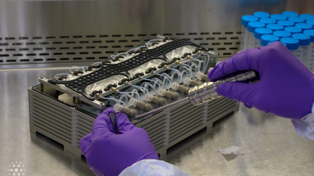 SpaceX leva três bactérias patogénicas à ISS para estudar resistência no espaço SpaceX leva três bactérias patogénicas à ISS para estudar resistência no espaço