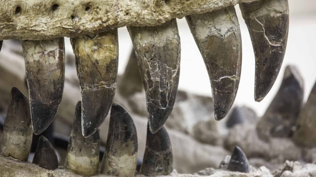 Ar dos dinossauros recriado em laboratório revela níveis de CO₂ muito superiores aos atuais Ar dos dinossauros recriado em laboratório revela níveis de CO₂ muito superiores aos atuais