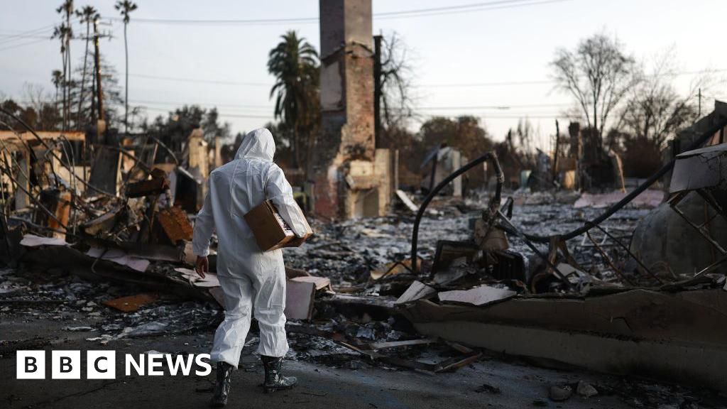 Estudo atribui mais de 400 mortes indiretas aos incêndios de Los Angeles Estudo atribui mais de 400 mortes indiretas aos incêndios de Los Angeles