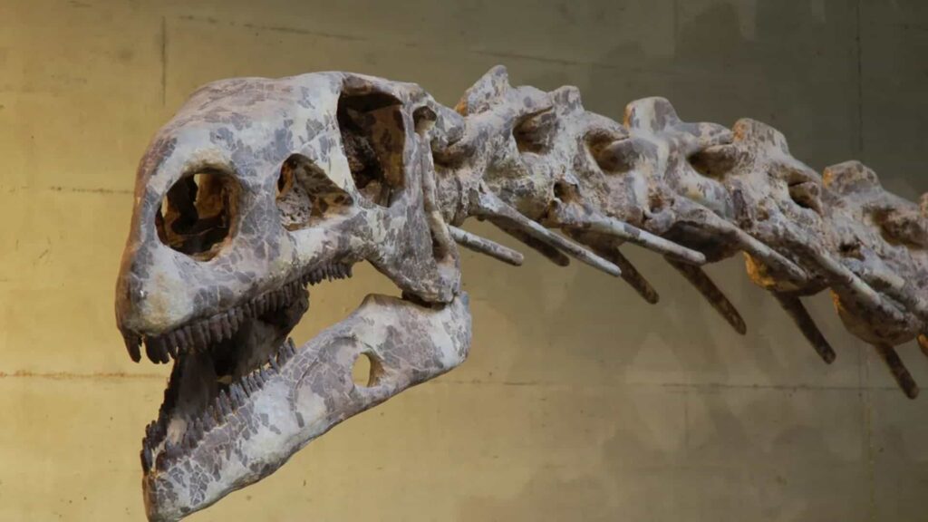 Fóssil de dinossauro surge a 2,6 km de profundidade e quebra recorde no Mar do Norte Fóssil de dinossauro surge a 2,6 km de profundidade e quebra recorde no Mar do Norte