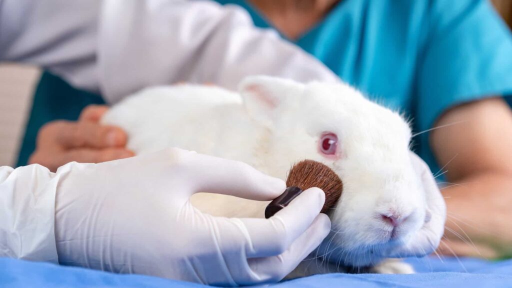 Brasil proíbe testes em animais para cosméticos e impõe rotulagem até 2027 Brasil proíbe testes em animais para cosméticos e impõe rotulagem até 2027