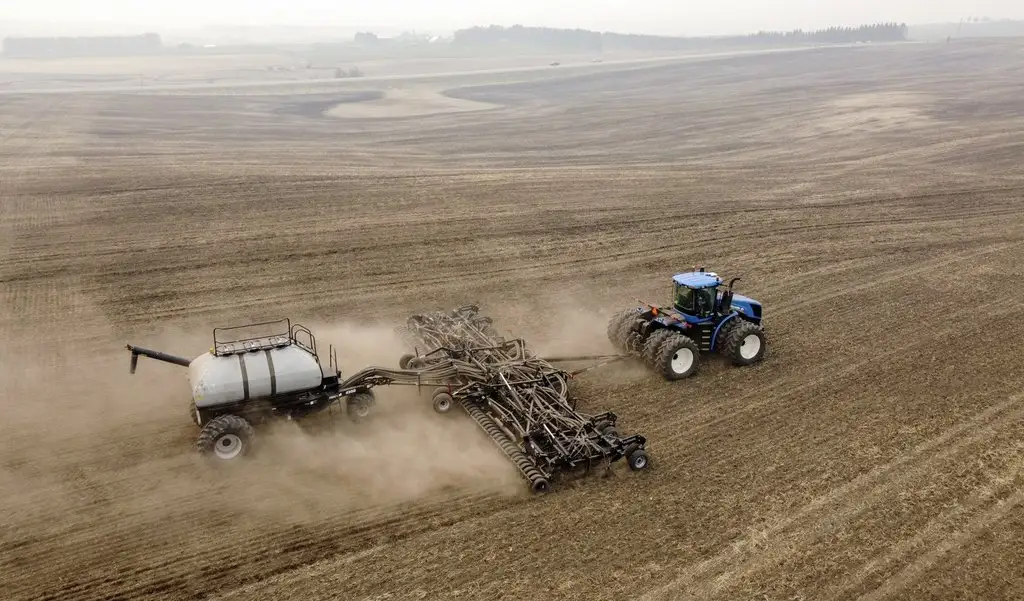 China impõe taxa provisória de 75,8 % à canola do Canadá e agrava disputa comercial China impõe taxa provisória de 75,8 % à canola do Canadá e agrava disputa comercial