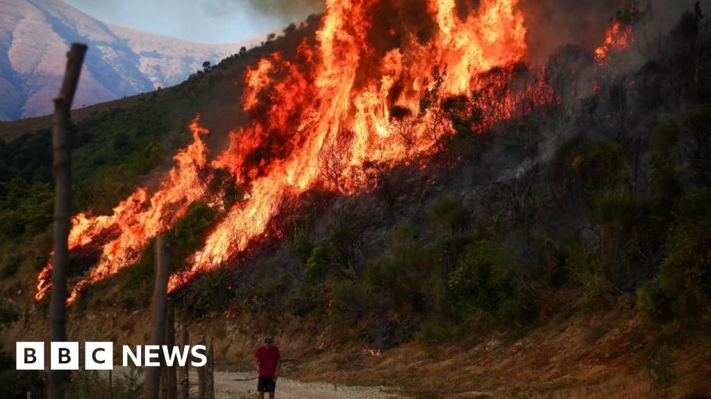 Calor extremo alimenta dezenas de incêndios e obriga milhares a fugir no sul da Europa Calor extremo alimenta dezenas de incêndios e obriga milhares a fugir no sul da Europa