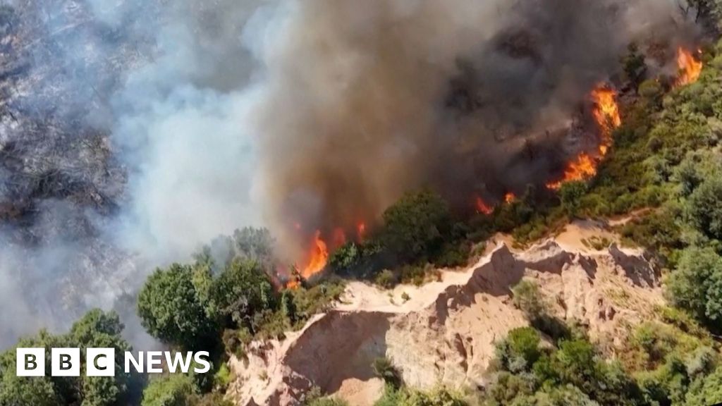 Imagens de satélite revelam a dimensão dos incêndios na Europa sob temperaturas acima de 40 °C Imagens de satélite revelam a dimensão dos incêndios na Europa sob temperaturas acima de 40 °C