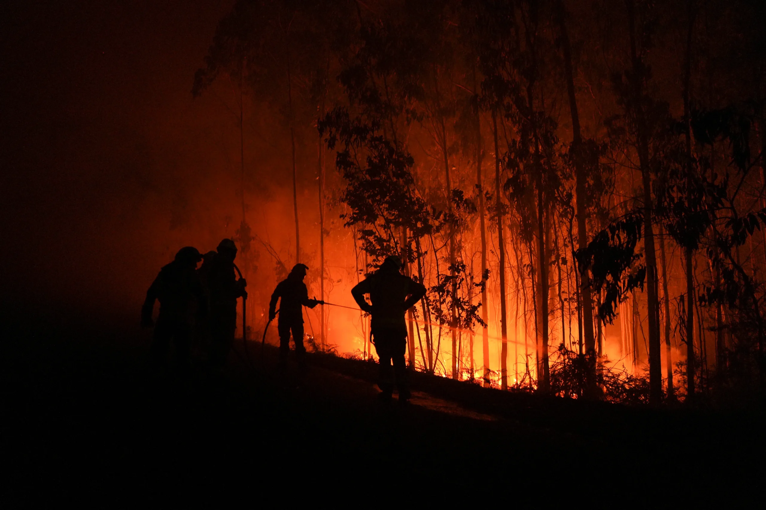 Incêndios no sul da Europa provocam três mortos e milhares de deslocados Incêndios no sul da Europa provocam três mortos e milhares de deslocados - Imagem do artigo
