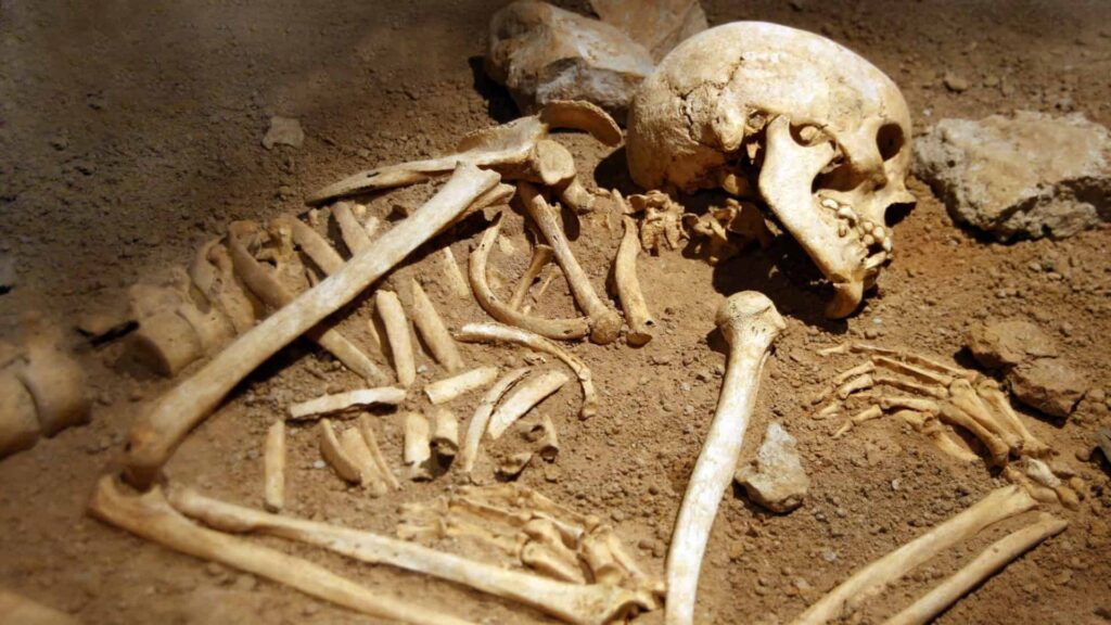 Análise de DNA revela ascendência africana em sepulturas anglo-saxónicas de há 1.300 anos Análise de DNA revela ascendência africana em sepulturas anglo-saxónicas de há 1.300 anos