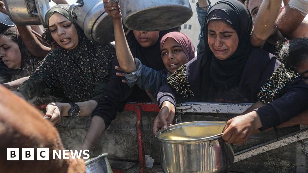 ONGs pedem a Israel que deixe de usar a ajuda a Gaza como arma ONGs pedem a Israel que deixe de usar a ajuda a Gaza como arma