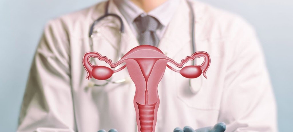 Transplante de útero em mulher trans ainda é desafio Transplante de útero em mulher trans ainda é desafio