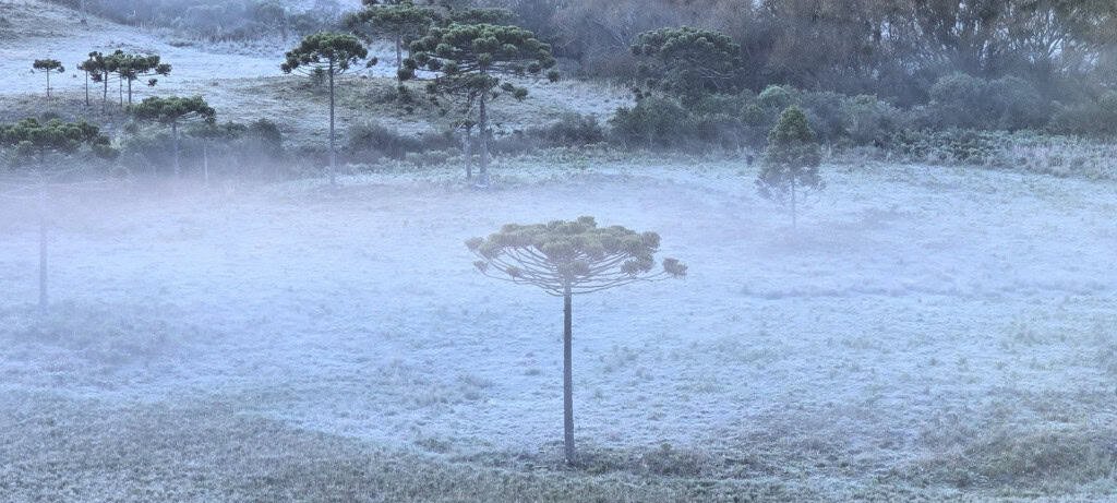 Frente fria derruba temperaturas e contrasta com calorão Frente fria derruba temperaturas e contrasta com calorão