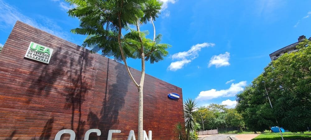 Cursos gratuitos Samsung em setembro abordam IA e VR Cursos gratuitos Samsung em setembro abordam IA e VR