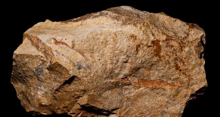 Conselho Nacional de Política Mineral foca em terras raras Conselho Nacional de Política Mineral foca em terras raras