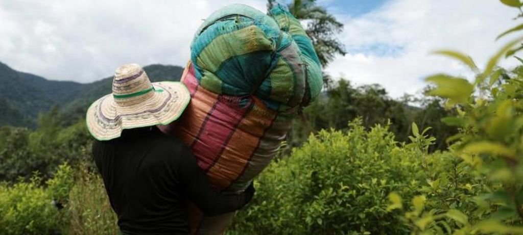 EUA decertificam Colômbia por falha no combate às drogas EUA decertificam Colômbia por falha no combate às drogas