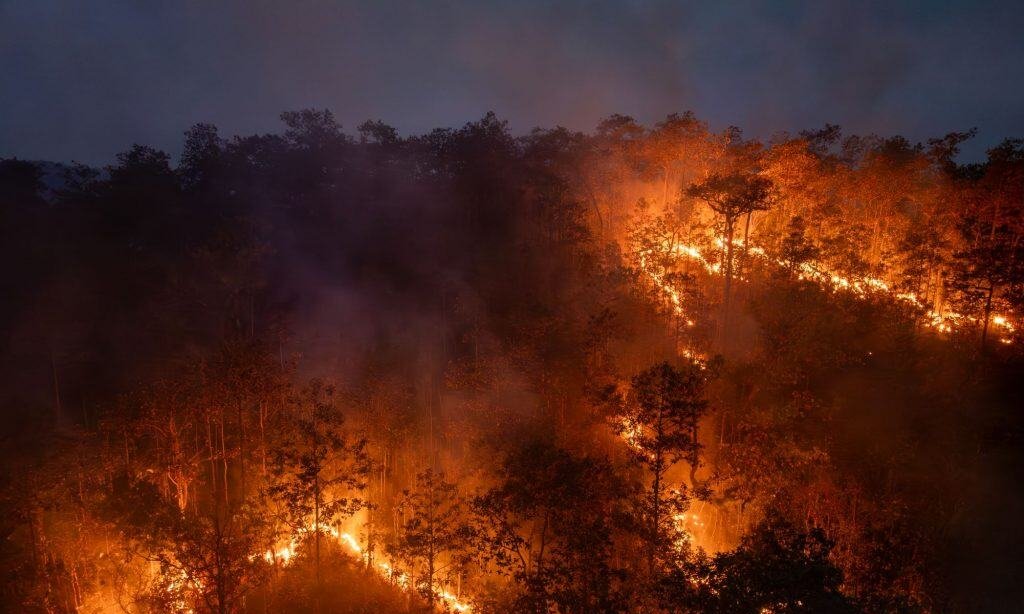Fumaça de queimadas pode matar 1,4 milhão por ano até 2100