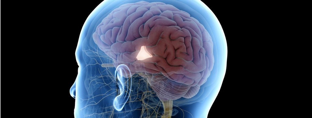 Hipotermia: como o corpo reage até a morte por frio Hipotermia: como o corpo reage até a morte por frio