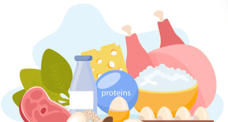 Excesso de proteína sobrecarrega rins e pode afetar coração Excesso de proteína sobrecarrega rins e pode afetar coração
