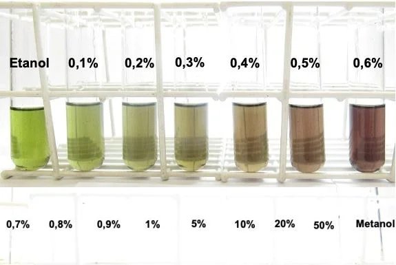 Teste rápido detecta metanol em bebidas em 15 minutos Teste rápido detecta metanol em bebidas em 15 minutos