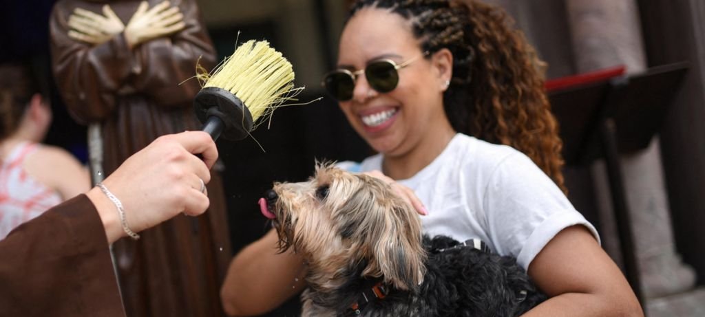 Festa de São Francisco de Assis reúne pets para bênção Festa de São Francisco de Assis reúne pets para bênção