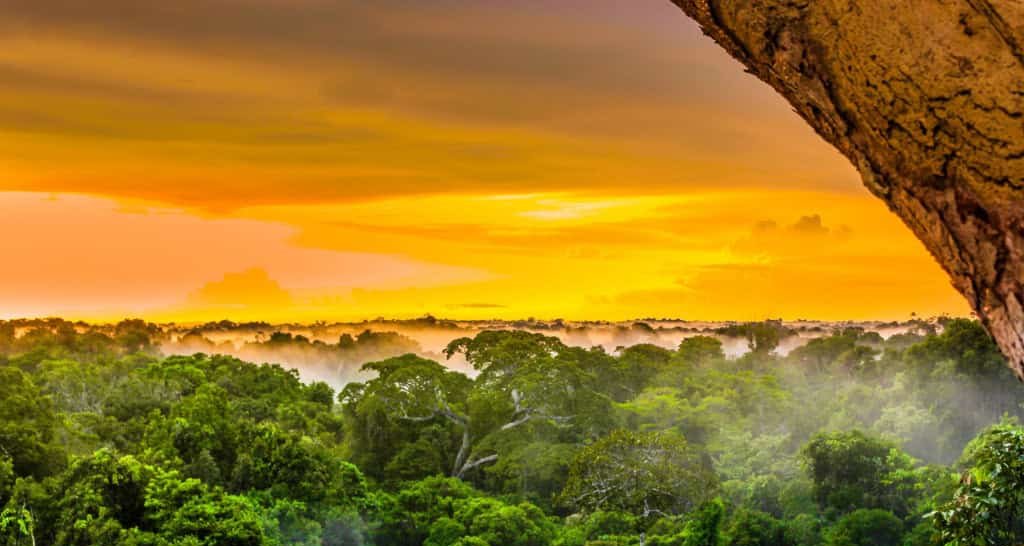 IA prevê risco de desmatamento na Amazônia IA prevê risco de desmatamento na Amazônia