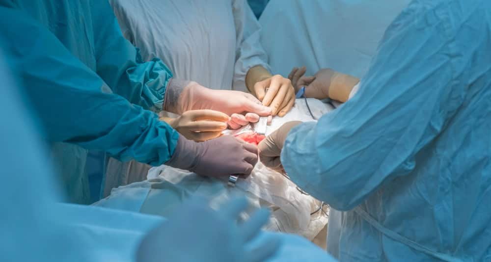 Transplante de fígado de porco em humano é feito na China Transplante de fígado de porco em humano é feito na China