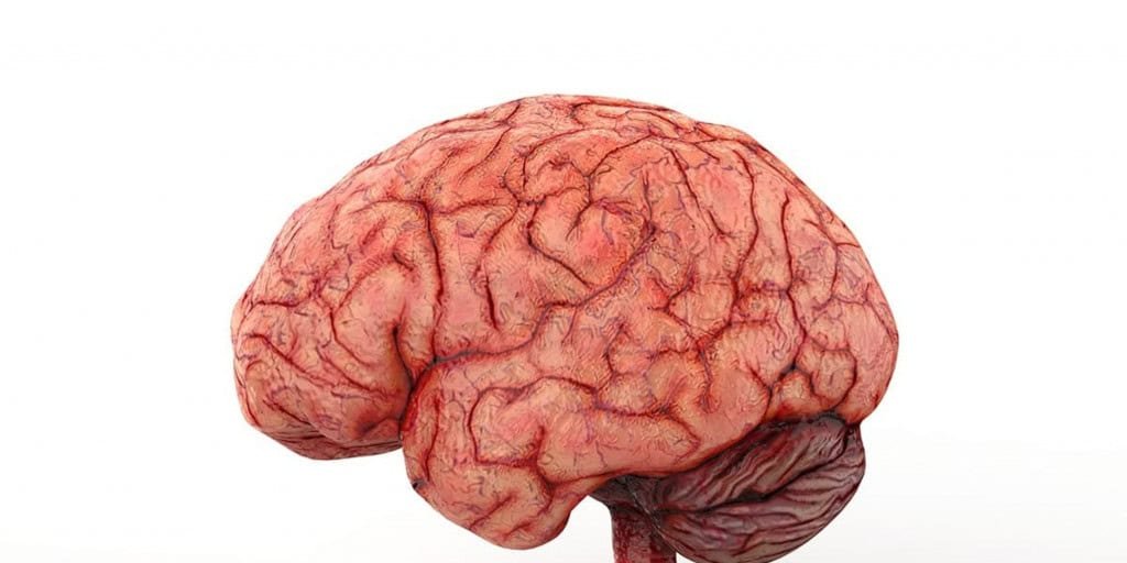 Vídeos curtos afetam desenvolvimento cerebral de crianças Vídeos curtos afetam desenvolvimento cerebral de crianças