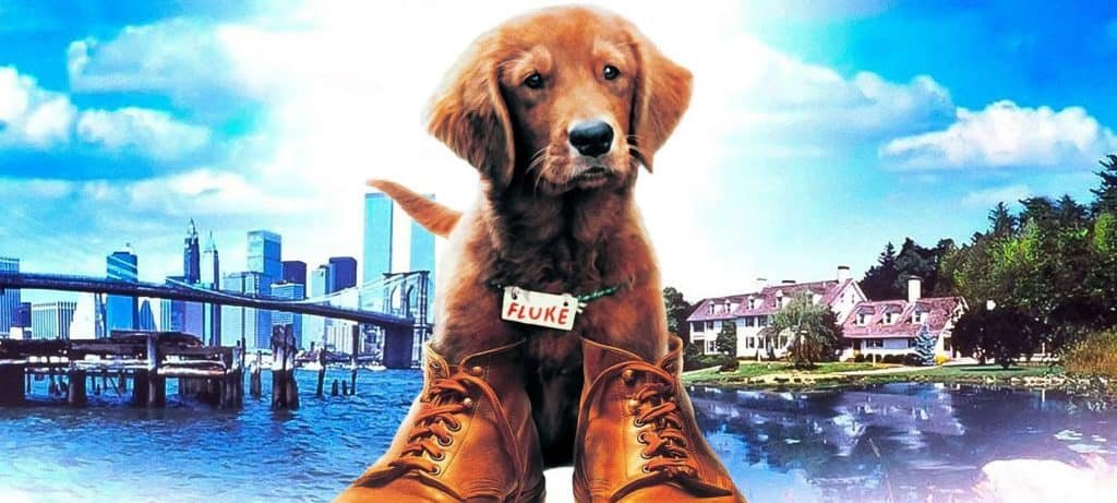 Caramelo chega à Netflix e destaca oito filmes com cachorros disponíveis nos streamings Caramelo chega à Netflix e destaca oito filmes com cachorros disponíveis nos streamings
