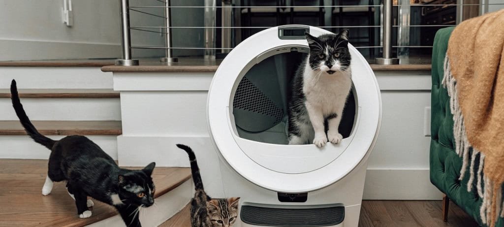 Caixa de areia Litter-Robot 5 Pro: IA, reconhecimento facial e assinatura para monitoramento felino Caixa de areia Litter-Robot 5 Pro: IA, reconhecimento facial e assinatura para monitoramento felino