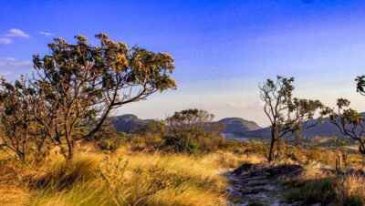 Desmatamento na Amazônia recua 11% e atinge menor índice em 11 anos, aponta INPE