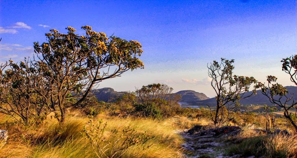 Desmatamento na Amazônia recua 11% e atinge menor índice em 11 anos, aponta INPE Desmatamento na Amazônia recua 11% e atinge menor índice em 11 anos, aponta INPE