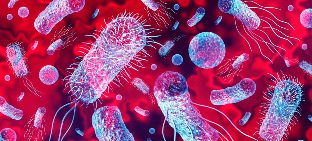 Inteligência artificial e supercomputação impulsionam projeto brasileiro para descobrir novos antibióticos contra superbactérias Inteligência artificial e supercomputação impulsionam projeto brasileiro para descobrir novos antibióticos contra superbactérias