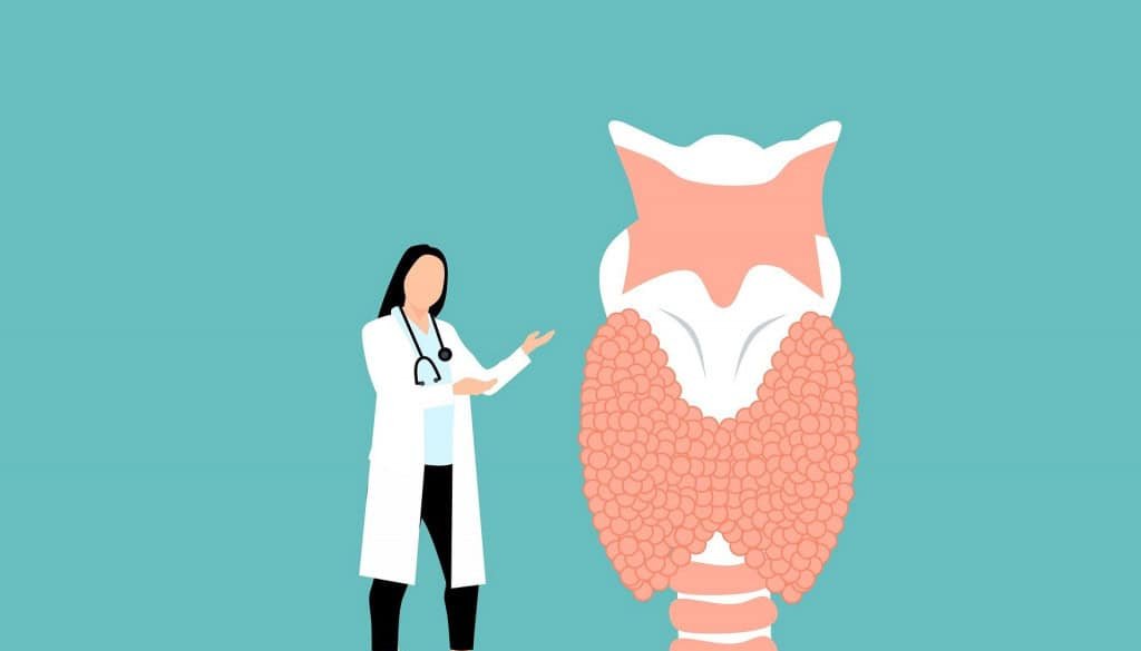 Hipotireoidismo e hipertireoidismo: diferenças, sinais, exames e opções de tratamento Hipotireoidismo e hipertireoidismo: diferenças, sinais, exames e opções de tratamento