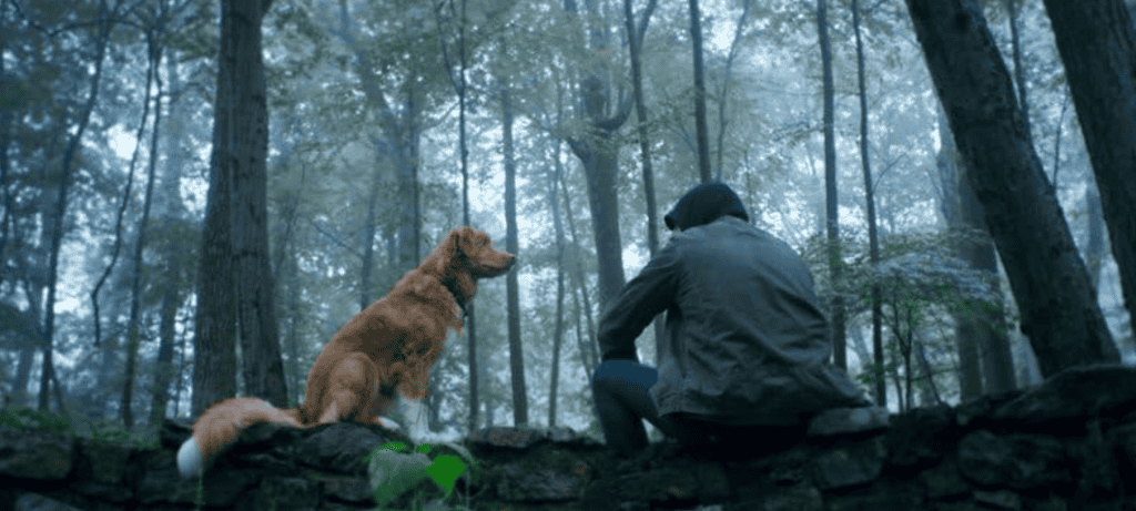 Final explicado de Bom Menino: o destino de Indy e Todd no terror de Ben Leonberg Final explicado de Bom Menino: o destino de Indy e Todd no terror de Ben Leonberg